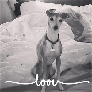 Meet your Posher, Heidi